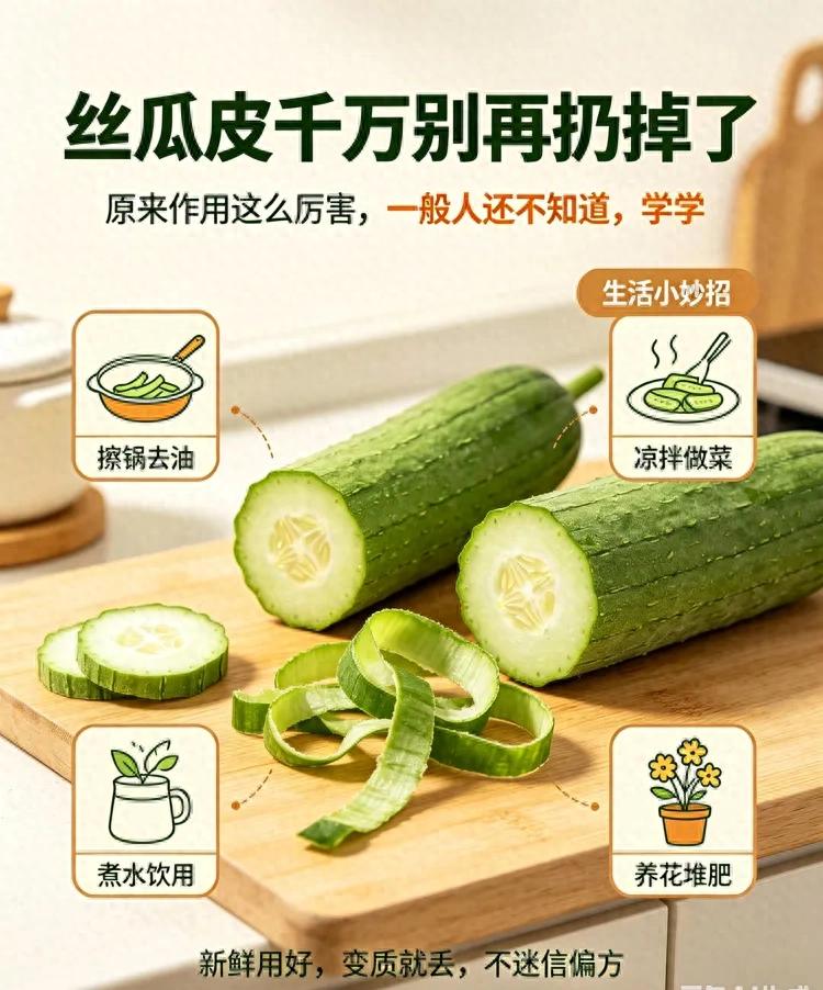 丝瓜皮千万别再扔掉了，原来作用这么厉害，一般人还不知道，学学(图1)