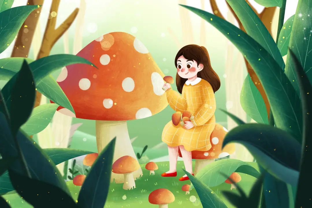科普丨美味野生菌食用攻略(图2)