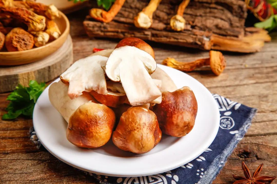 科普丨美味野生菌食用攻略(图6)