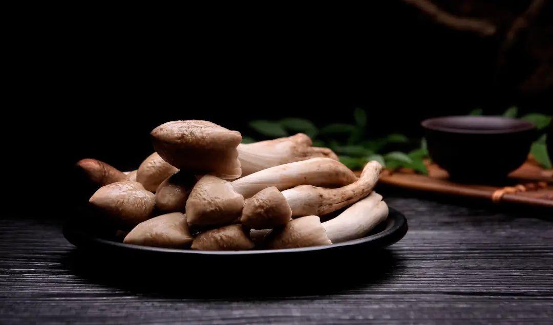 科普丨美味野生菌食用攻略(图7)