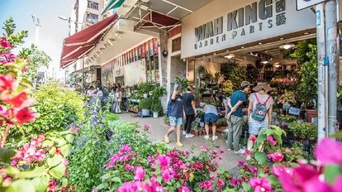 港俾你听｜美食部落、主题街市……原来你是这样的旺角(图11)