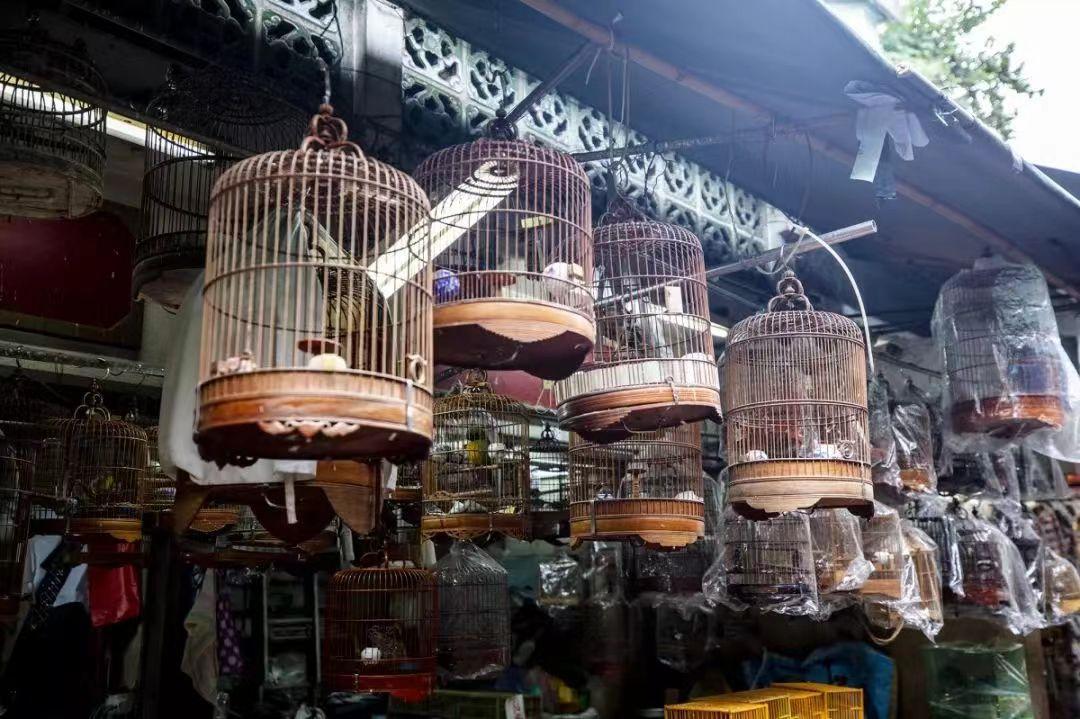 港俾你听｜美食部落、主题街市……原来你是这样的旺角(图15)