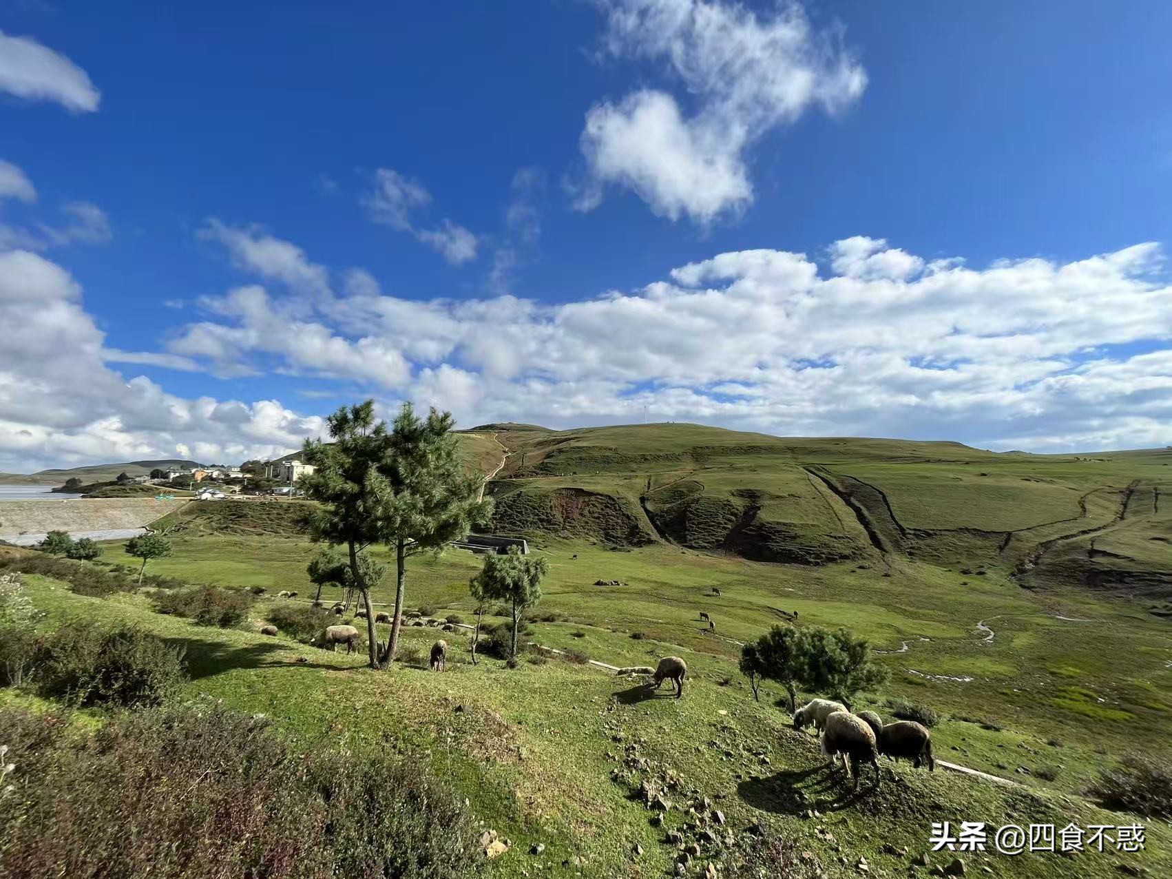 低调的昭通快藏不住了,其貌不扬的美食竟然这么好吃!(图2)