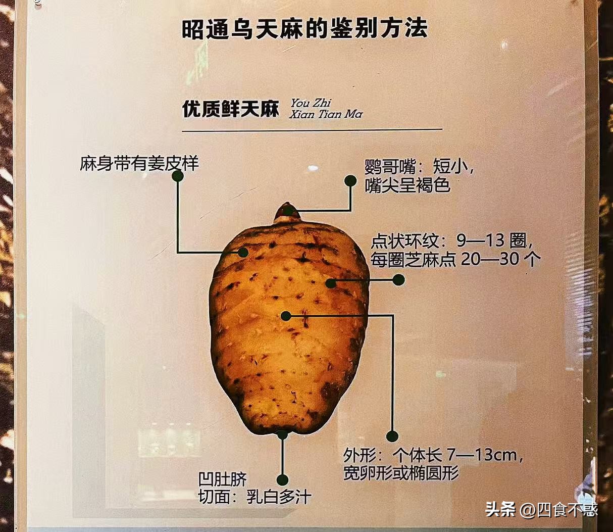 低调的昭通快藏不住了,其貌不扬的美食竟然这么好吃!(图15)