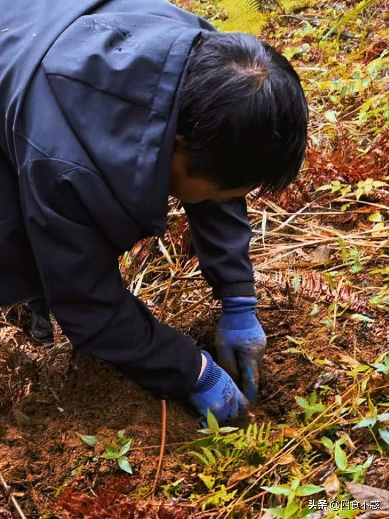 低调的昭通快藏不住了,其貌不扬的美食竟然这么好吃!(图18)