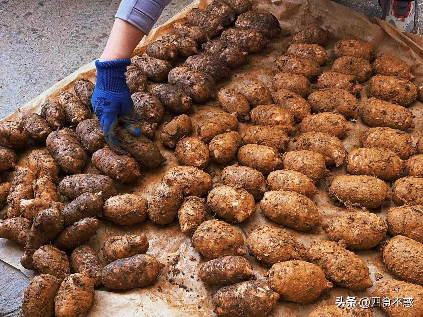 低调的昭通快藏不住了,其貌不扬的美食竟然这么好吃!(图19)