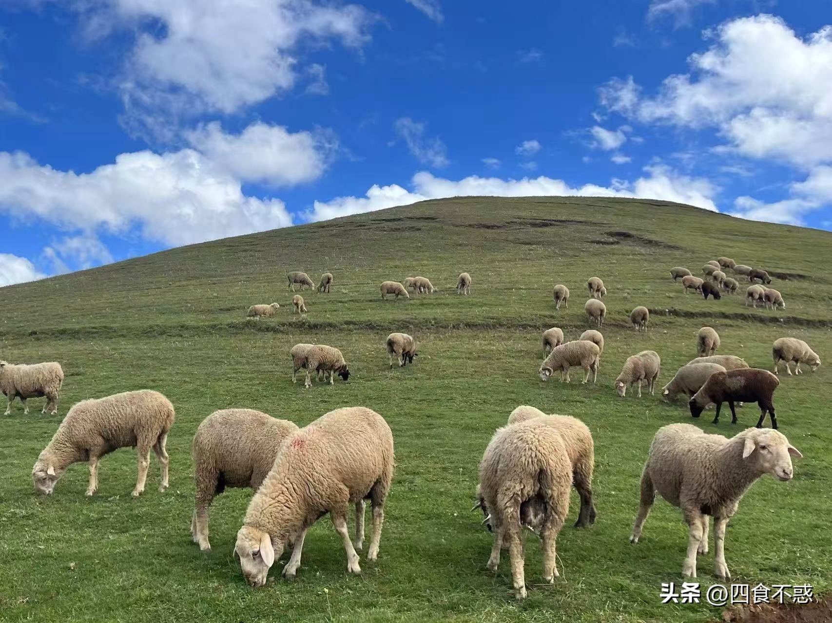 低调的昭通快藏不住了,其貌不扬的美食竟然这么好吃!(图3)