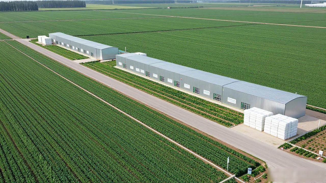 黑龙江获批7个全国绿色食品原料标准化生产基地(图1)