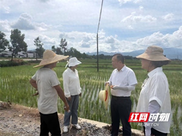 省植保植检站到永州指导秋粮病虫害防控与农药安全使用工作