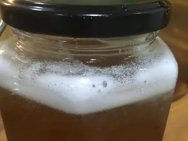 鉴别真假蜂蜜最简单的办法，只需一根筷子，蜂蜜是真是假一试便知(图4)