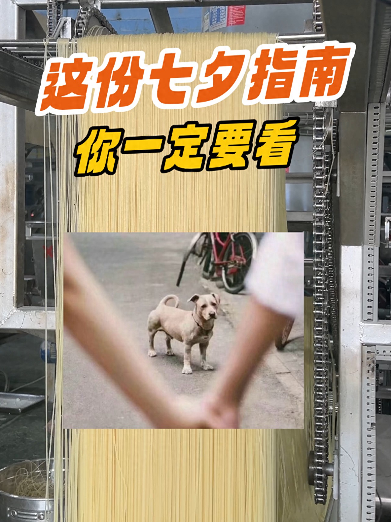 七夕到了，你准备怎么过