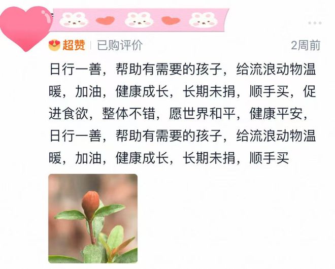 【爱有回响第七期+留言征集】新学期，与爱一起出发(图7)