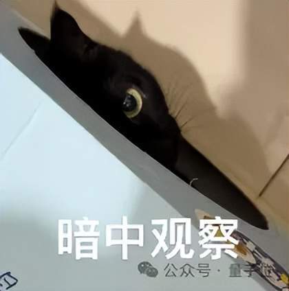 GPT-6带火循环Transformer，阿里早已布局(图12)