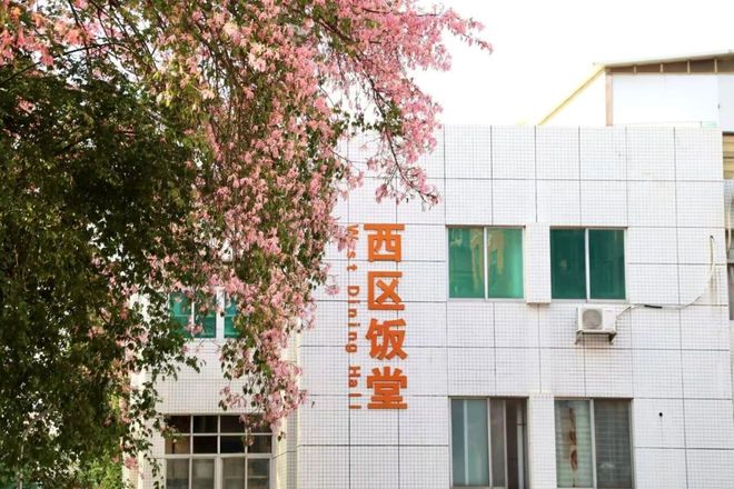 @2026级鲤工仔，超全五山校区生活攻略已就位(图41)