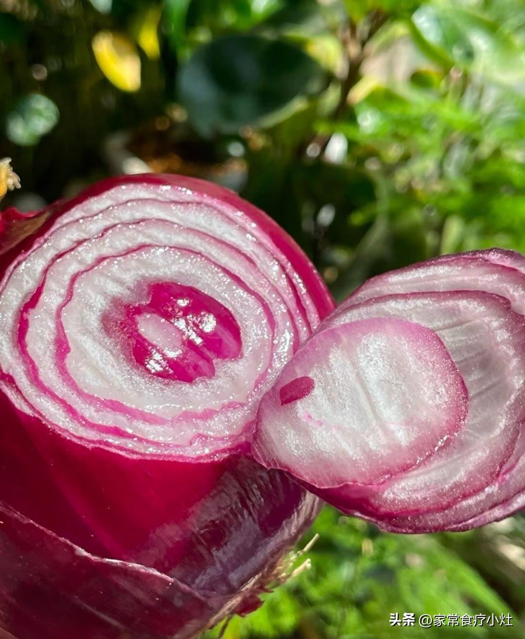 立秋后，少吃生菜丝瓜，多吃这3种“升阳菜”，补足精气神(图22)