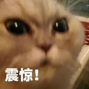 全球最大，谷歌Figure排队买！这个团队，撑起硅谷最火机器人(图3)