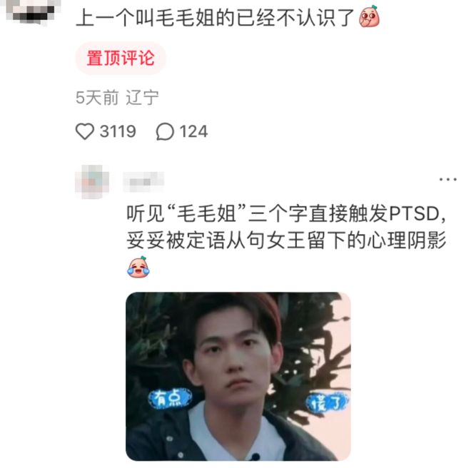 工作留痕，救了背锅11年的毛阿敏(图3)