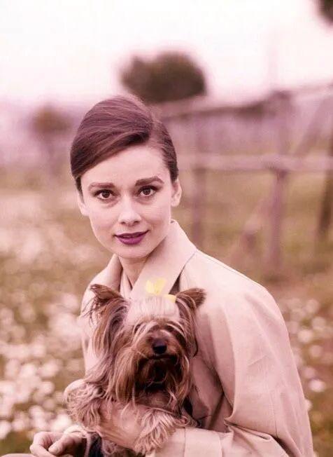 秋天，穿风衣吧！(图3)
