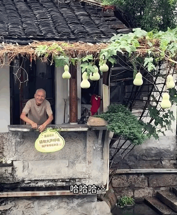 “蛇精”围攻，葫芦爷爷求饶(图5)