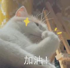 GitHub三榜第一背后，一个“专升本”工程师的十年(图27)