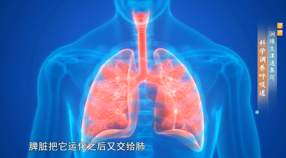 秋燥分两种，很多人都补反了，越补燥感越重！(图3)