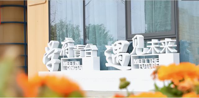 又一所公办嘉祥来了，这些片区可入读(图15)