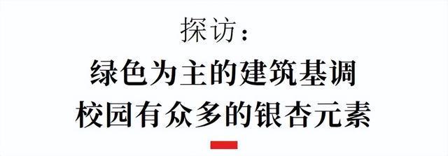 又一所公办嘉祥来了，这些片区可入读(图3)