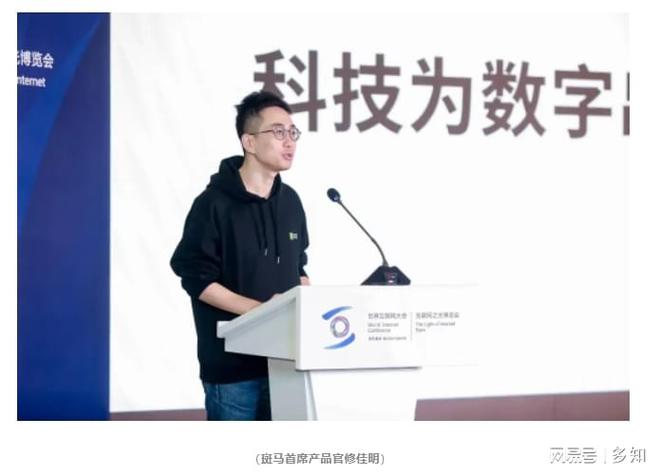 斑马的加减法(图2)