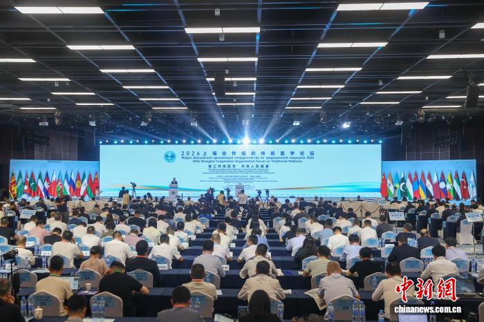 二十余国嘉宾江西共话传统医学国际合作路径