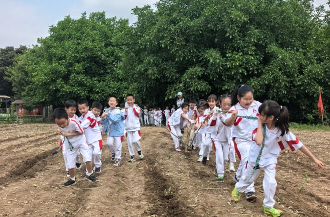 家长满意度99%！这所人附系学校人气暴涨，看完忍不住点赞(图18)