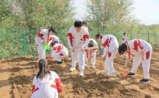 家长满意度99%！这所人附系学校人气暴涨，看完忍不住点赞(图3)