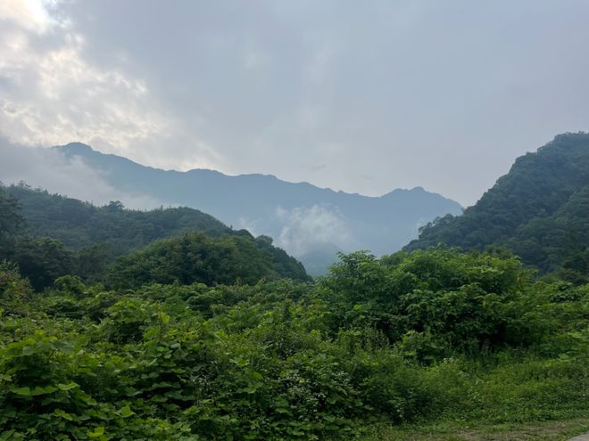 吃药才能睡着，花几万报家庭教育课，都关心孩子，谁来关心一下中年家长？(图10)