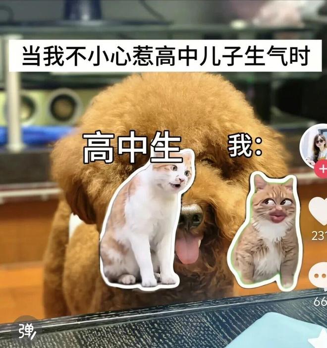 竟然没被吼！昏君偶尔不昏