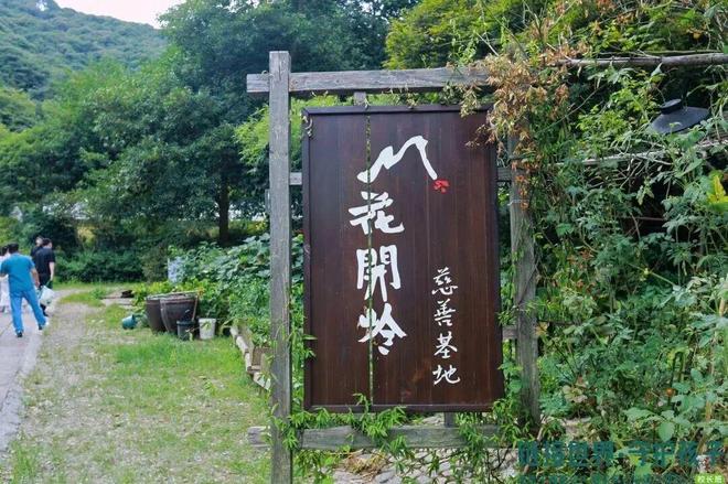 8月报 | 暑意漫山野,餐歇爱不息(图4)