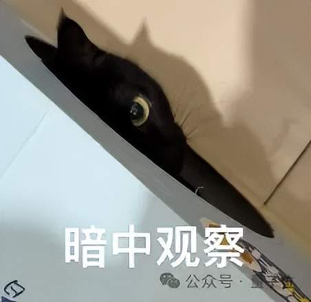 千万奖池找“鲸锐”！单项奖金200万，只等一个最会用AI讲故事的你(图1)
