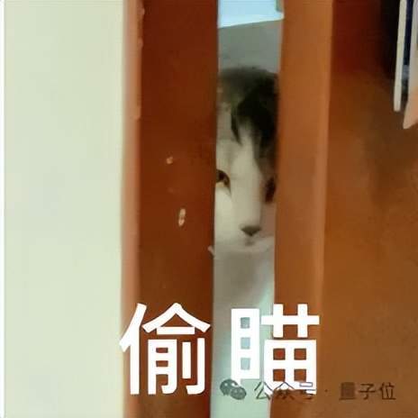 千万奖池找“鲸锐”！单项奖金200万，只等一个最会用AI讲故事的你(图6)