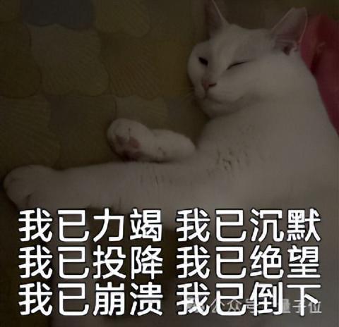 27B模型分分钟交付网页,Qwen 3.8还是太能了(图11)