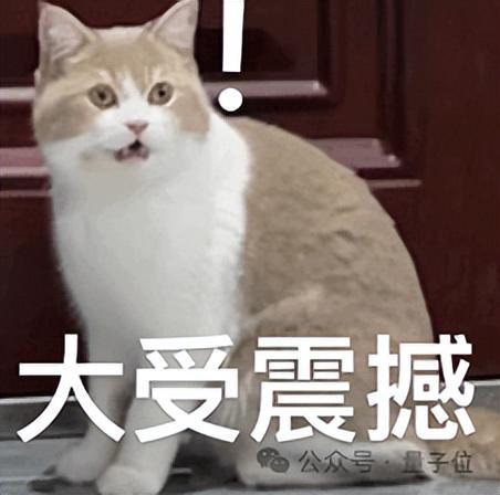 27B模型分分钟交付网页,Qwen 3.8还是太能了(图7)