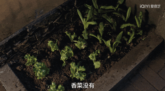 比起小鲜肉，关晓彤和老戏骨在一起才是绝配！(图25)