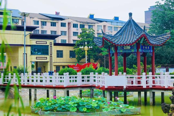托住县城“后排”的孩子—— 一所县域民办高中的托底答卷(图11)
