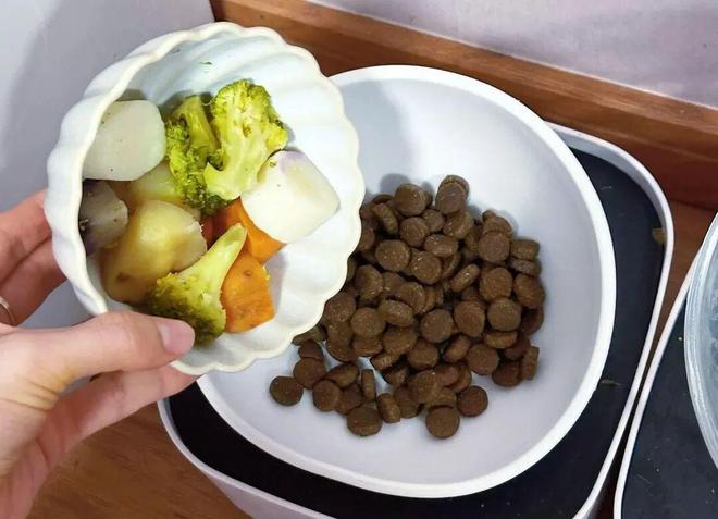吃“人饲料”的打工人，越来越多了(图2)