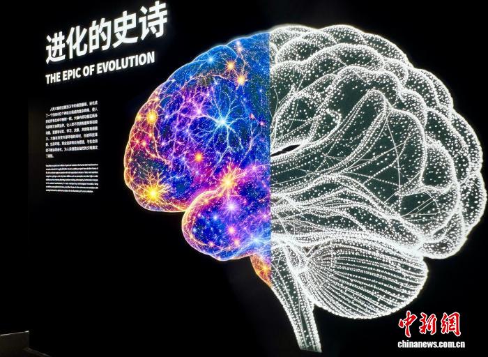 守护老龄脑健康 中国科技馆推出世界阿尔茨海默病日主题活动
