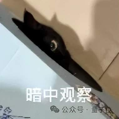 实时世界模型进入“全科生”阶段,PixVerse R2先交卷!(图10)