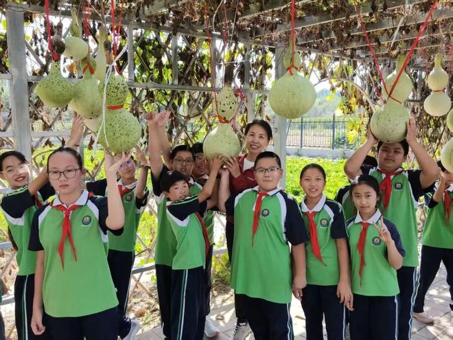 小田地，大课堂！北京中小学这样过丰收节
