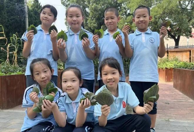 小田地，大课堂！北京中小学这样过丰收节(图2)
