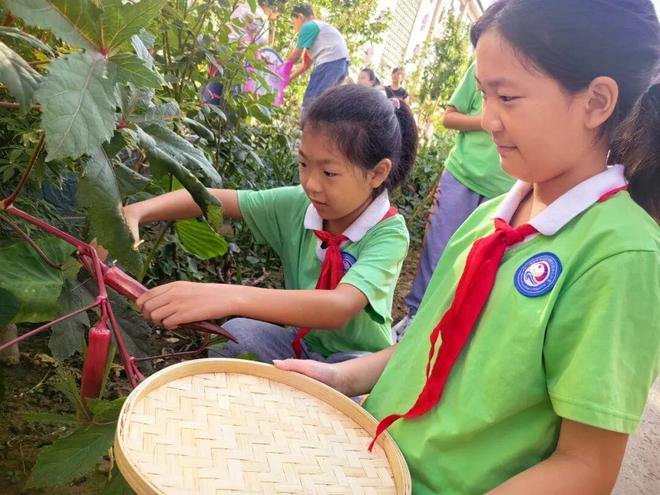 小田地，大课堂！北京中小学这样过丰收节(图3)