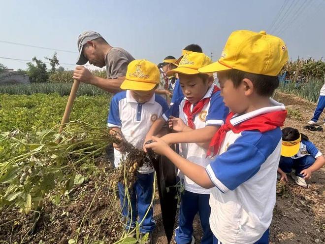 小田地，大课堂！北京中小学这样过丰收节(图9)