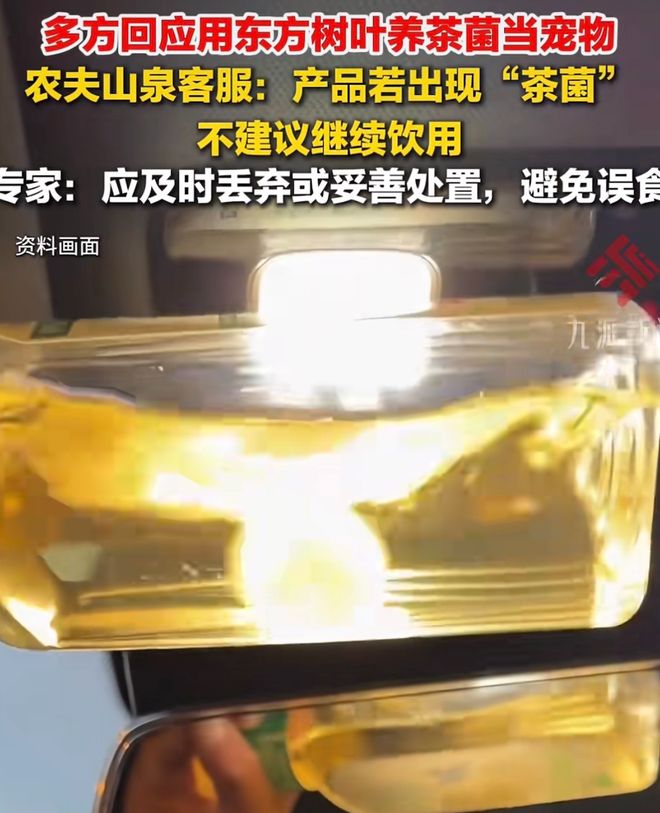 北上广年轻人,开始养砖头了(图11)