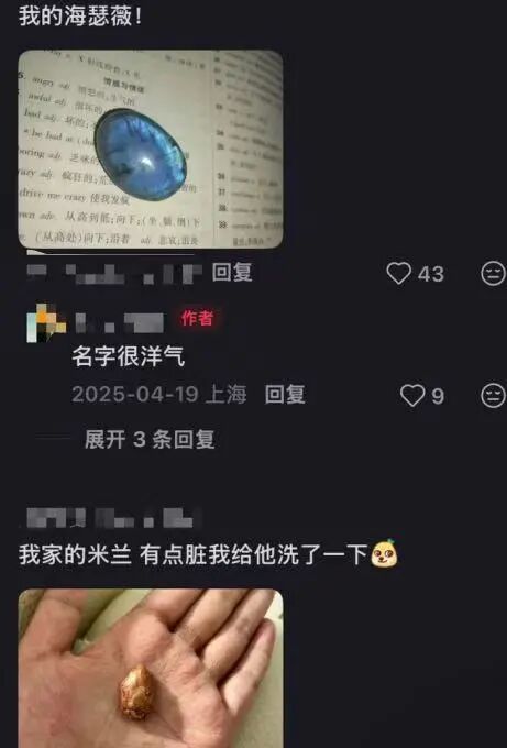 北上广年轻人,开始养砖头了(图16)