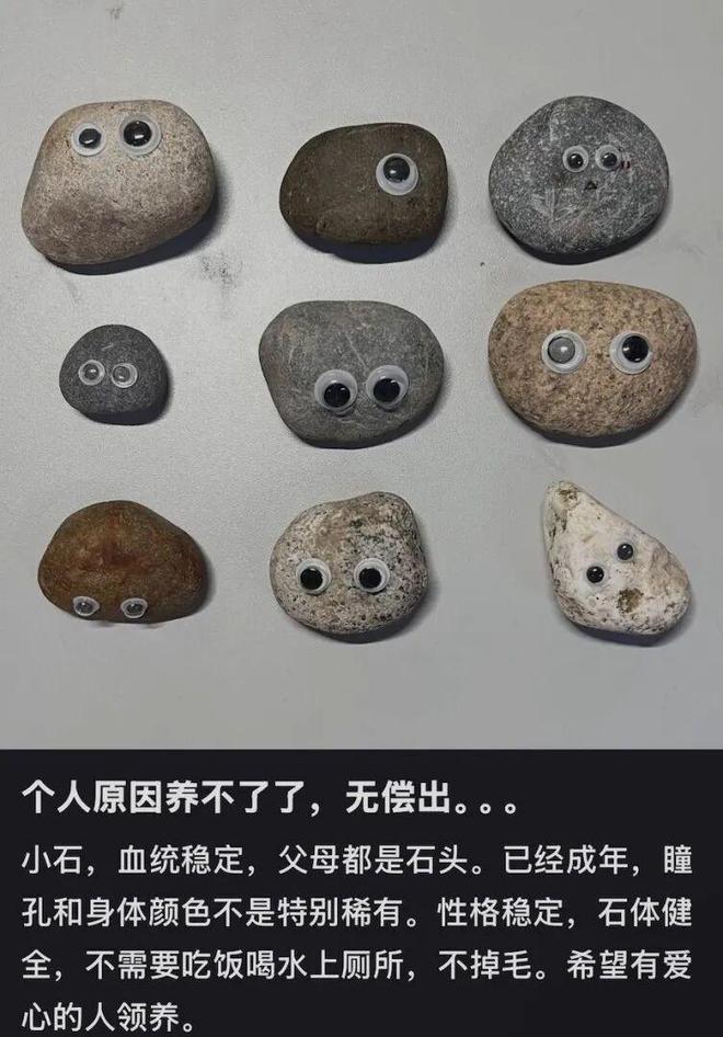 北上广年轻人,开始养砖头了(图18)